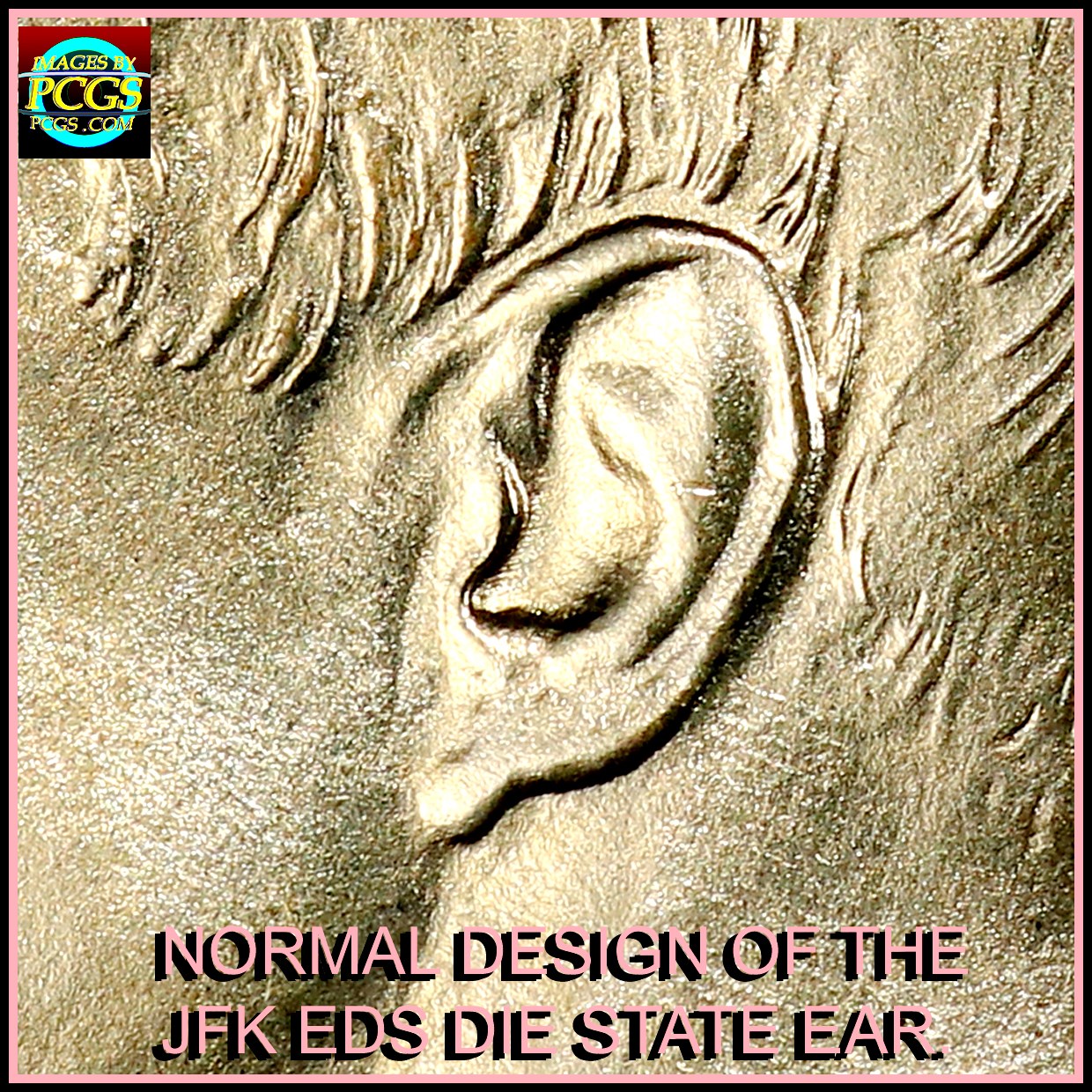 1964-P-Kennedy-Half,-What's-Up-With-The-Ear?