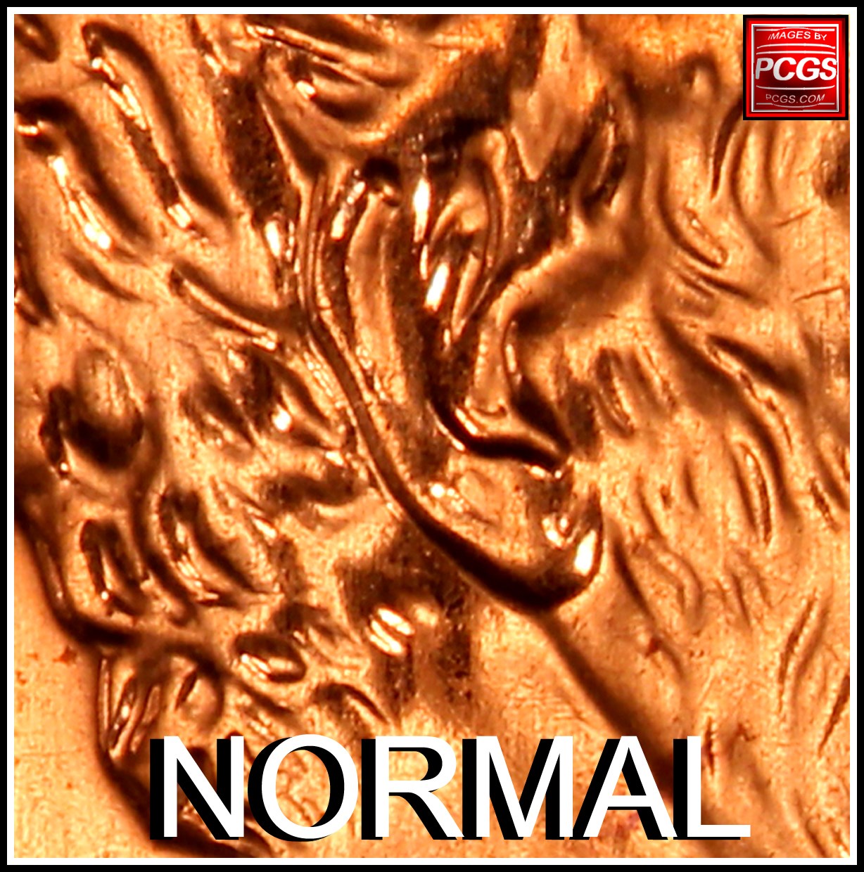 1998-D-Penny-Possible-Double-Ear?