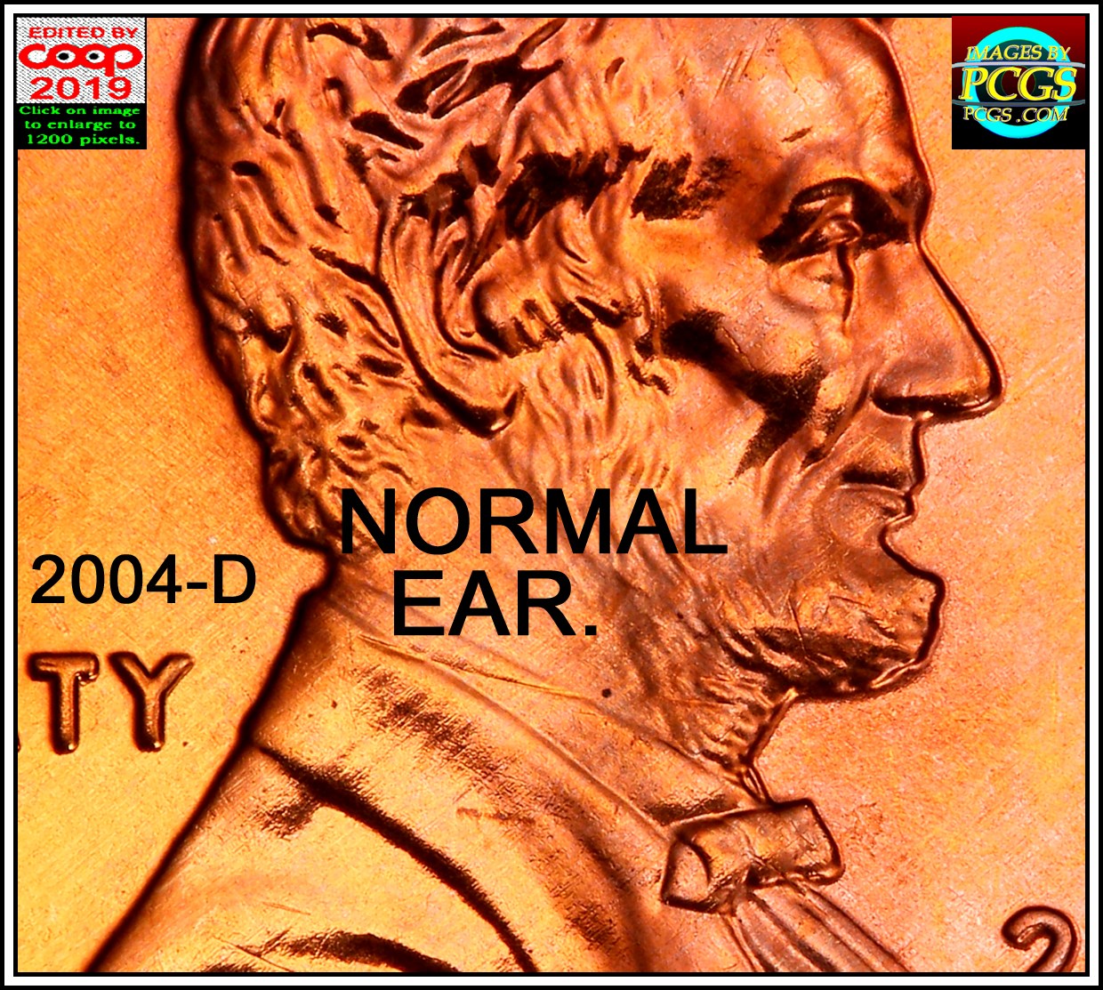 Is-This-Doubling-Ear-Lobe?