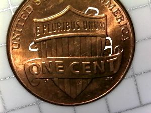 2016-P-LSC,-Finger-Feeder-Error-Reverse.