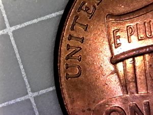 2016-P-LSC,-Finger-Feeder-Error-Reverse.