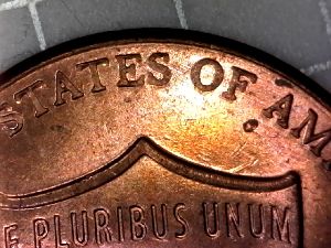 2016-P-LSC,-Finger-Feeder-Error-Reverse.