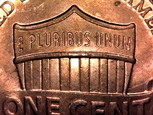 2016-P-LSC,-Finger-Feeder-Error-Reverse.