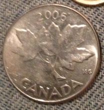 Maple-Twig-Design-On-Loonie-Sized-Coin