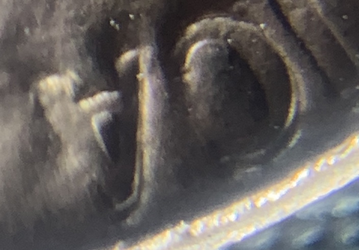 2008-Mint-Error-Penny?
