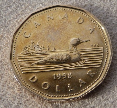 Interesting-Find-From-Circulation