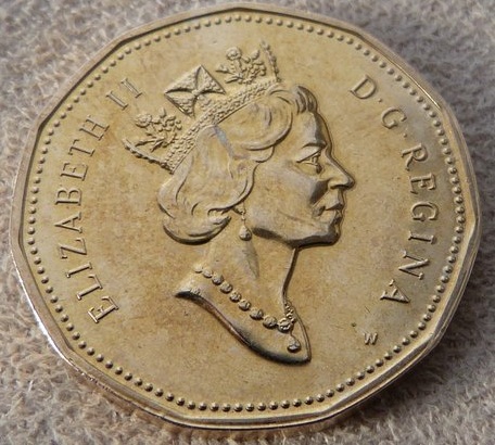 Interesting-Find-From-Circulation
