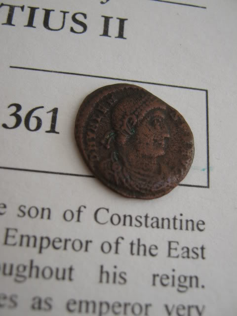 A-Roman-Coin-Collecting-Newbie.
