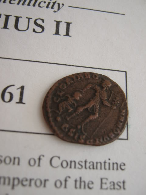 A-Roman-Coin-Collecting-Newbie.