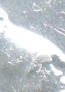 1952-2002-Fifty-Cent