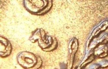 2000---5-Cents-Tripled-With-Die-Crack