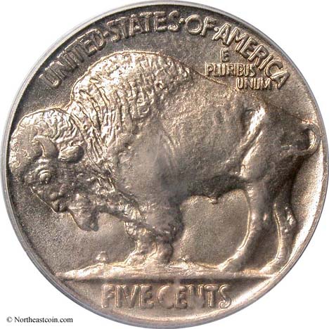 Need-Help-Taming-The-Buffalo-Series.-Strike