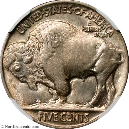 Need-Help-Taming-The-Buffalo-Series.-Strike