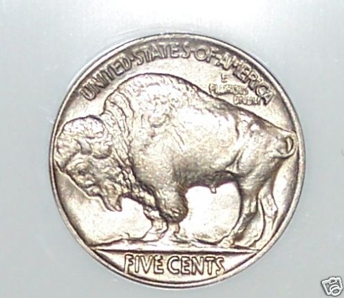 A-Couple-New-Buffalos-For-The-Set--Grades-Posted