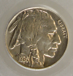 A-Couple-New-Buffalos-For-The-Set--Grades-Posted
