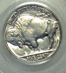 A-Couple-New-Buffalos-For-The-Set--Grades-Posted