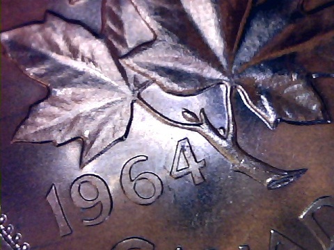 1964-Extra-Stem