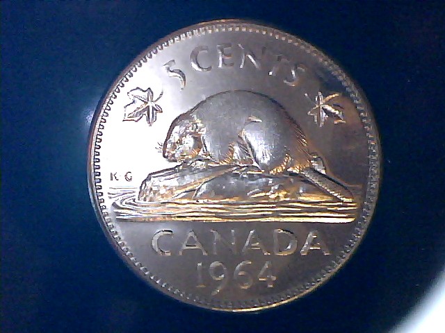 1964-Strange-Beaver-Nickel