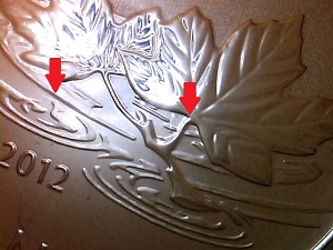 Double-Die-Clash-On-2012-Farewell-To-Penny--Maple-Leaf