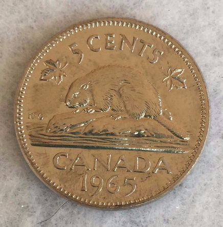 Please-Help-Grade-1964-And-1965-Nickel