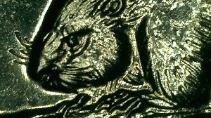 1965-Canadian-5-Cent---Double-Die-5-With-And-Amazing-Network-Of-Lathe-Lines