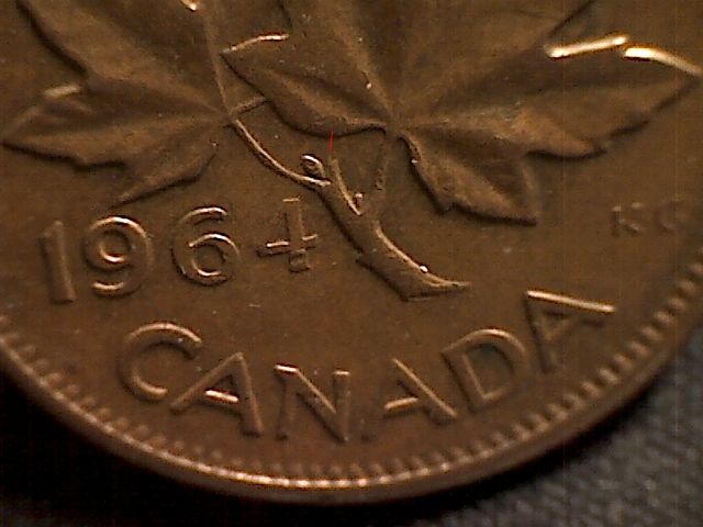 1964-Extra-Stem