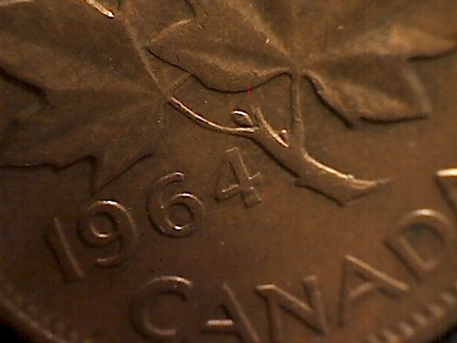 1964-Extra-Stem