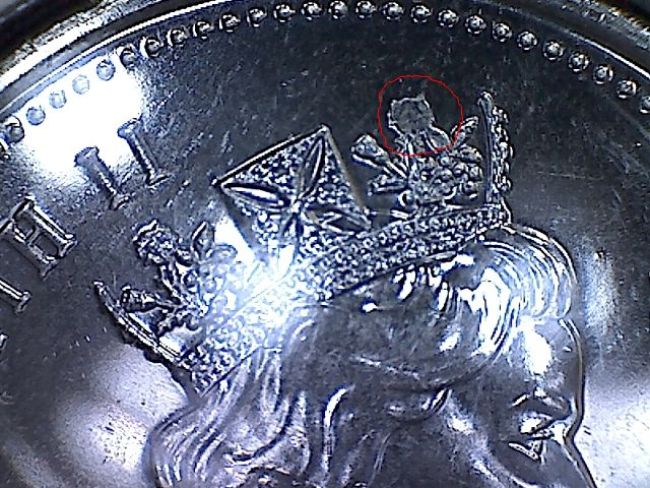 Defective-Flower-On-Queens-Crown