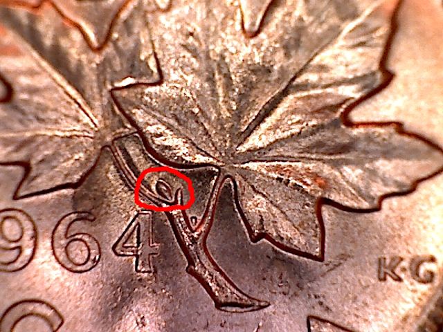 1964-Xtra-Bud-Or-Splitting-Bud