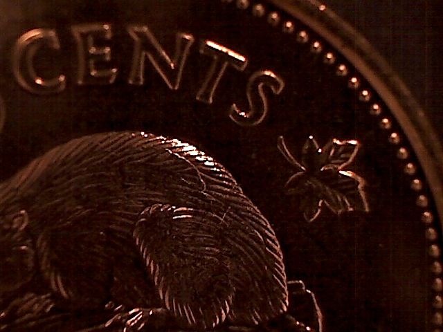 1992-Nickel-With-Die-Crack-On-Beavers-Back