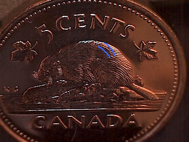 1992-Nickel-With-Die-Crack-On-Beavers-Back