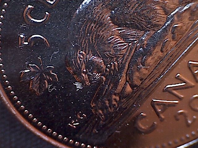 2001-Extra-Whisker