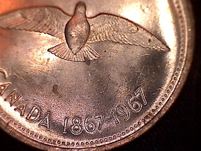 1967-Penny-D/D