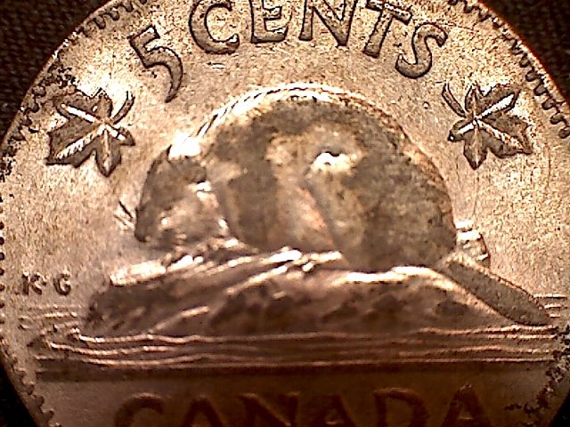 1953-Nickel-Missing-Chrome-?
