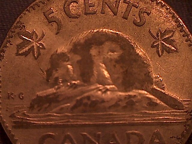 1953-Nickel-Missing-Chrome-?