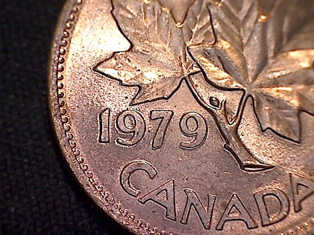 Some-More-Finds