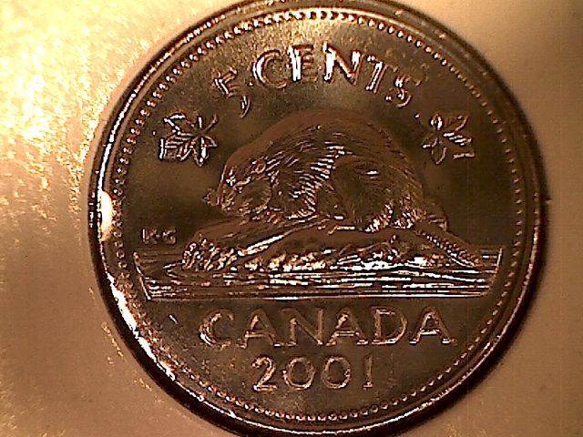 2001-Nickel-Extra-Water-Line-?