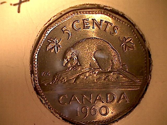 1960-Nickel-Weak-Strike-On-Beaver