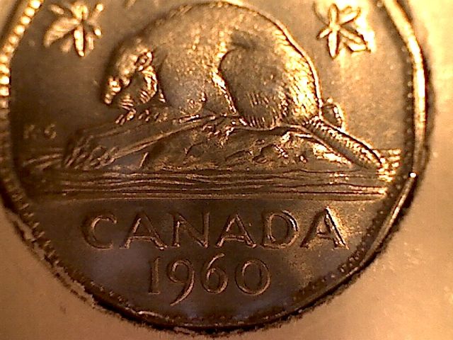 1960-Nickel-Weak-Strike-On-Beaver