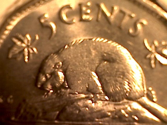 1960-Nickel-Weak-Strike-On-Beaver