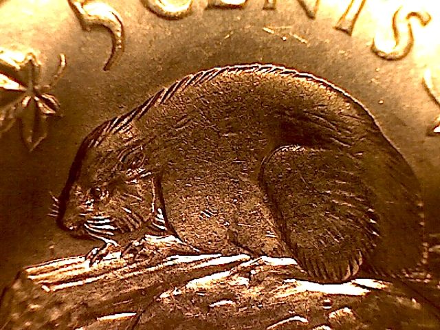 1960-Nickel-Weak-Strike-On-Beaver