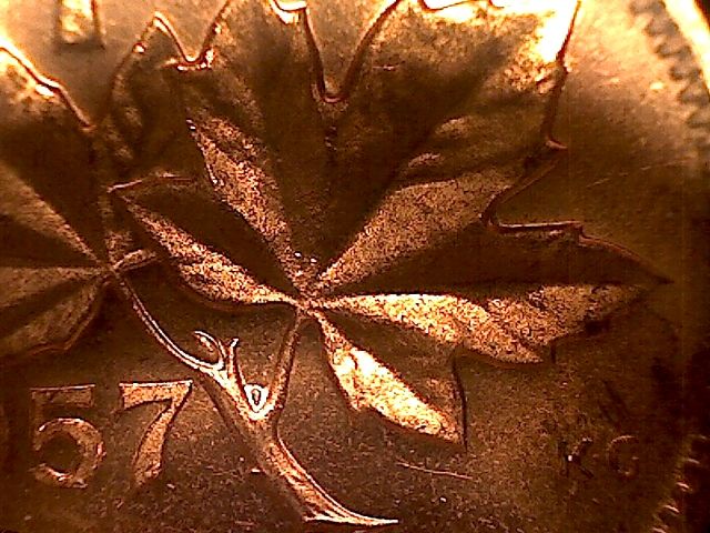 1957-Cent-With-Extra-Stem-Or-Bud-?