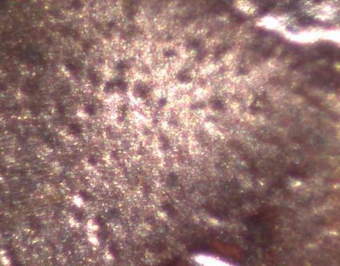 1985-Lincoln-Memorial-Cent-Die-Cracks?-Trapped-Gasses?
