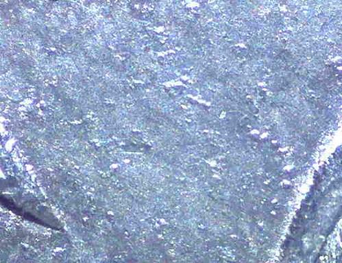 21p-Infrequent-Reeding?-New-VAM?