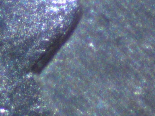 21p-Infrequent-Reeding?-New-VAM?