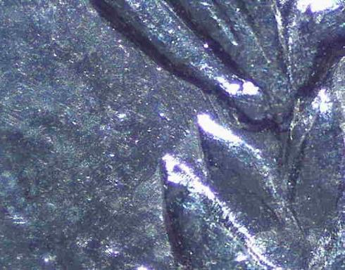 21p-Infrequent-Reeding?-New-VAM?