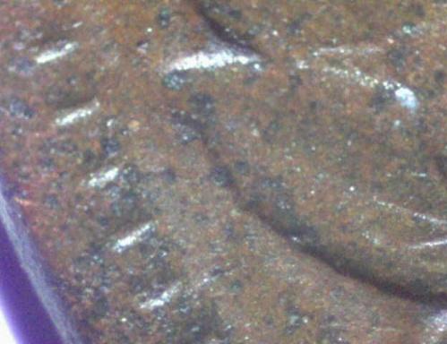 1888-Indian-Variety-S2?