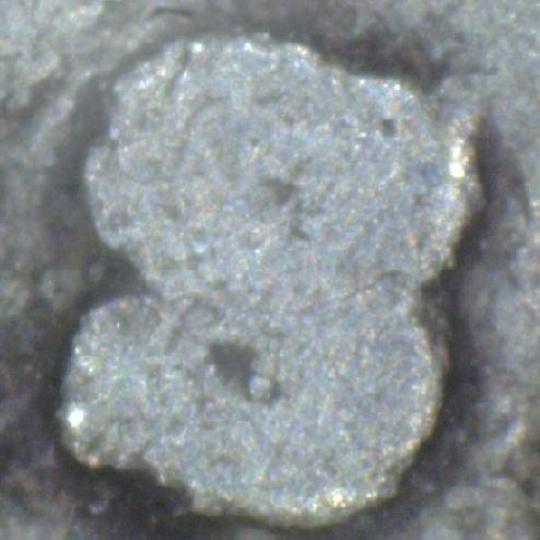 1928-S-Standing-Lib-Quarter,-Is-It-Inverted-MM?