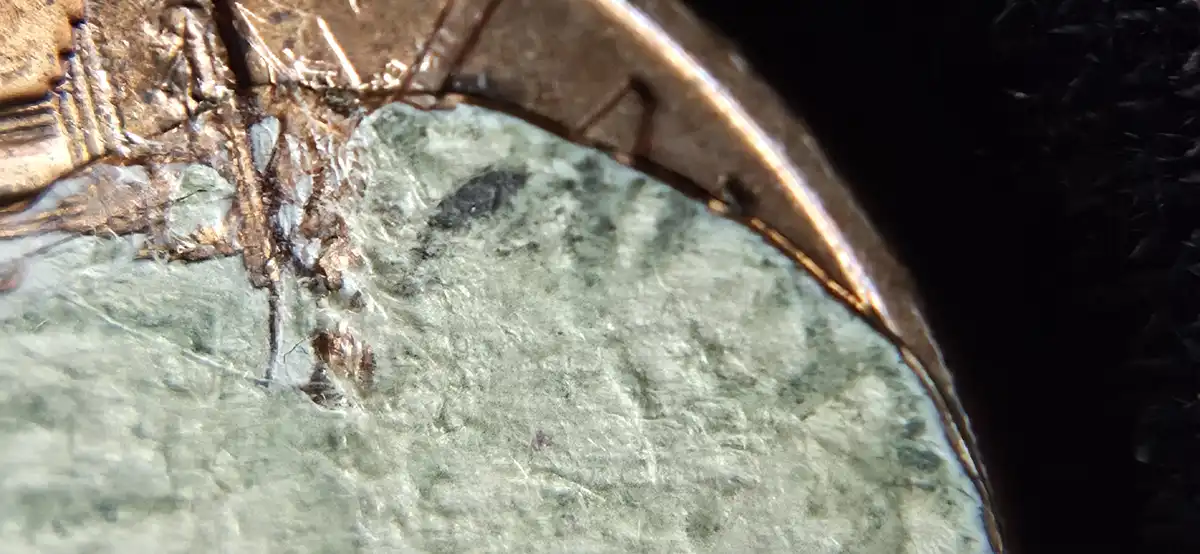 1973-Lincoln-Strike-Through-Error?