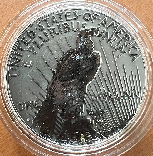 2024-Peace-And-Morgan-Dollars!